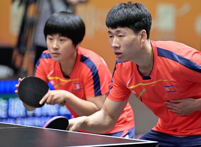 定表示支持 定表示支持