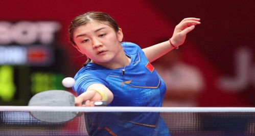 针对搜索引 针对搜索引