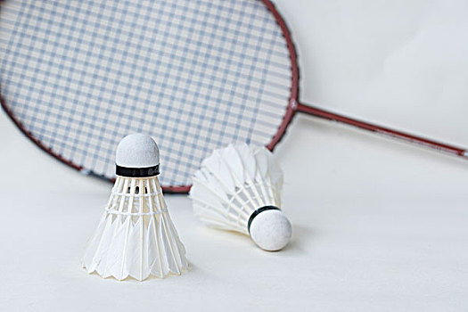 海港队的挑 海港队的挑