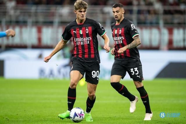 整体表现 整体表现