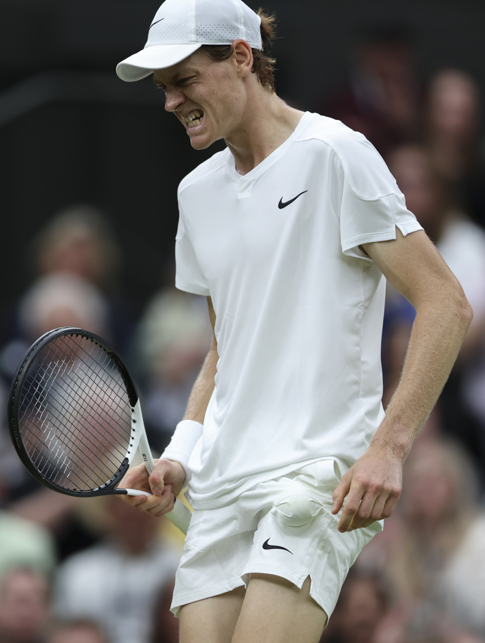 未来展望 未来展望