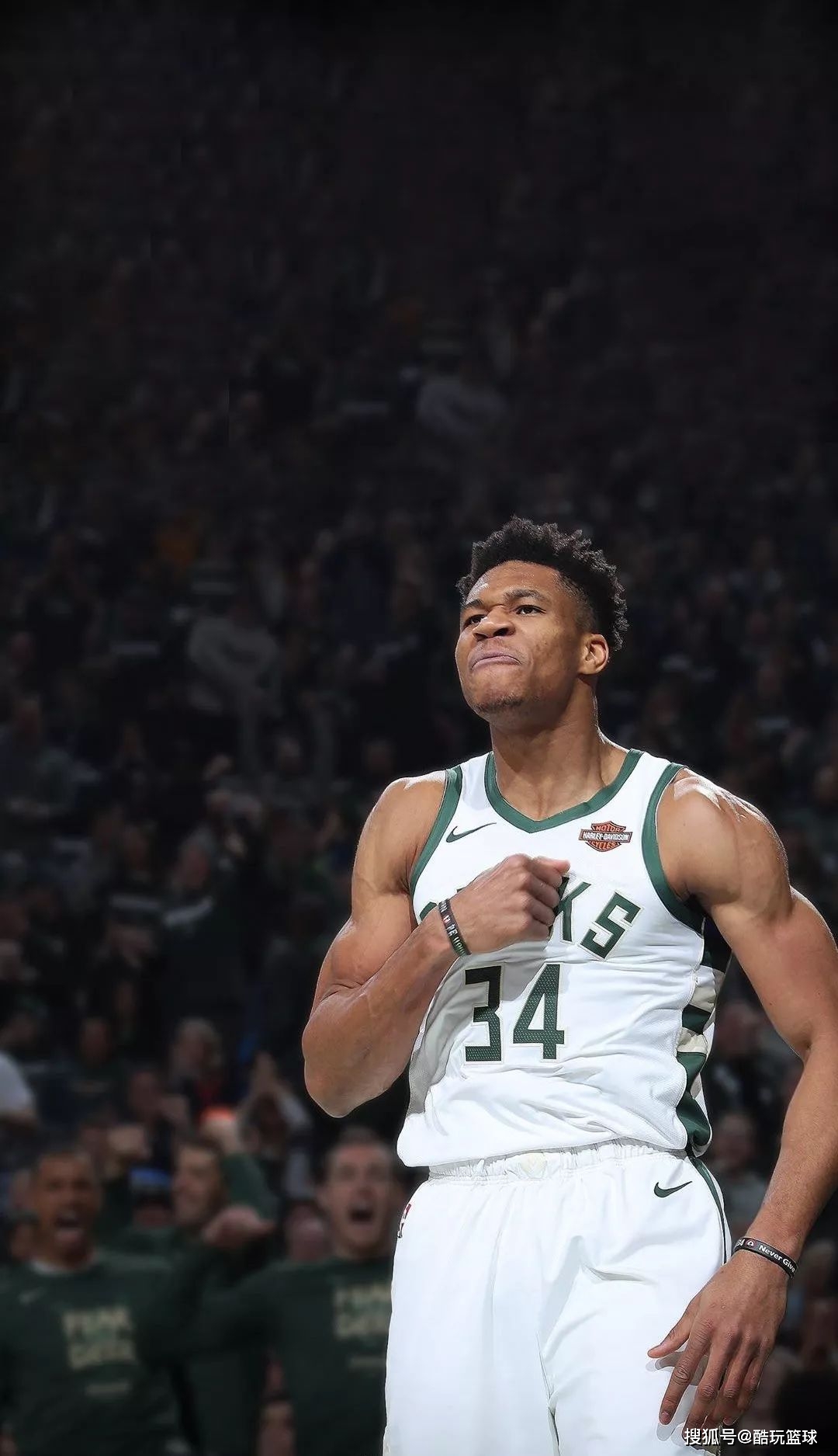 叙事的可信 叙事的可信